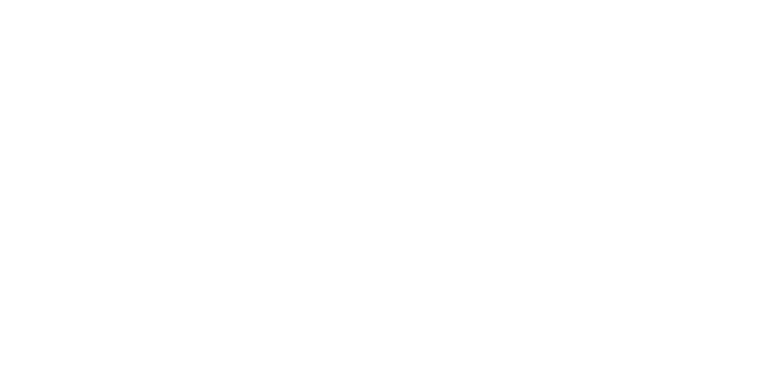 capture-logo-light